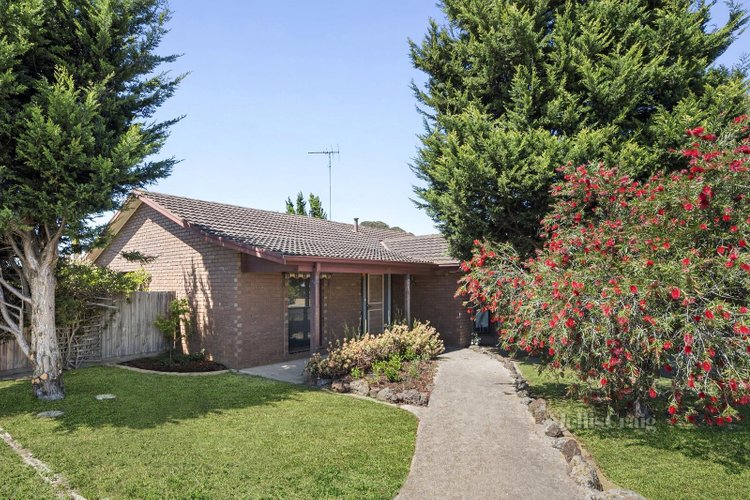 15 Buckington Street St Albans Park 3219