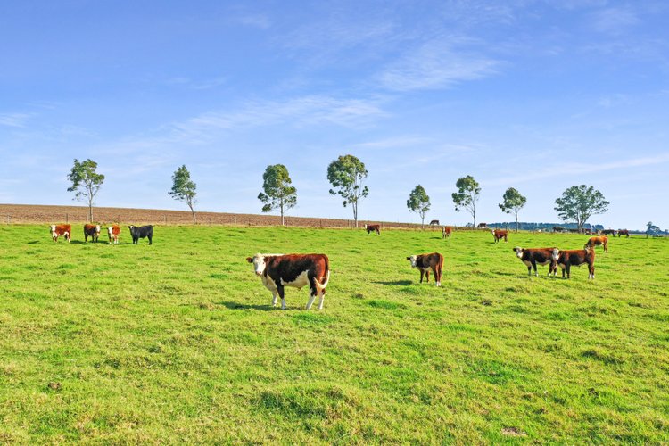 15 Johnston Court, Walpa