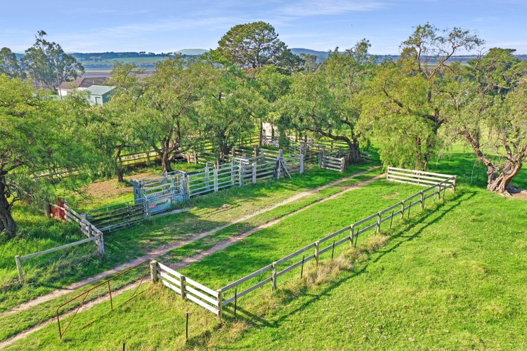 15 Johnston Court, Walpa