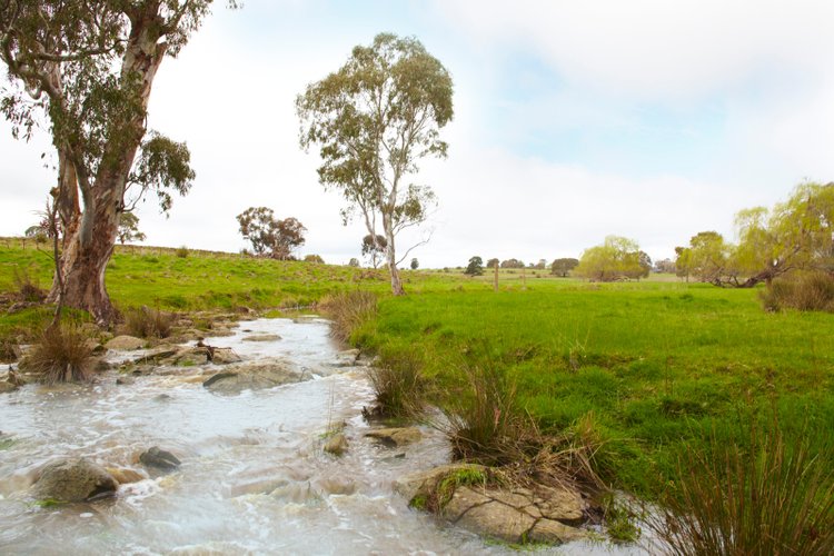 150 Mount Lofty Road Redesdale 3444