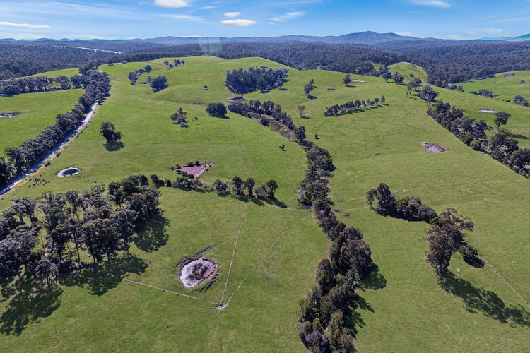 150 Yalmy Road, Jarrahmond