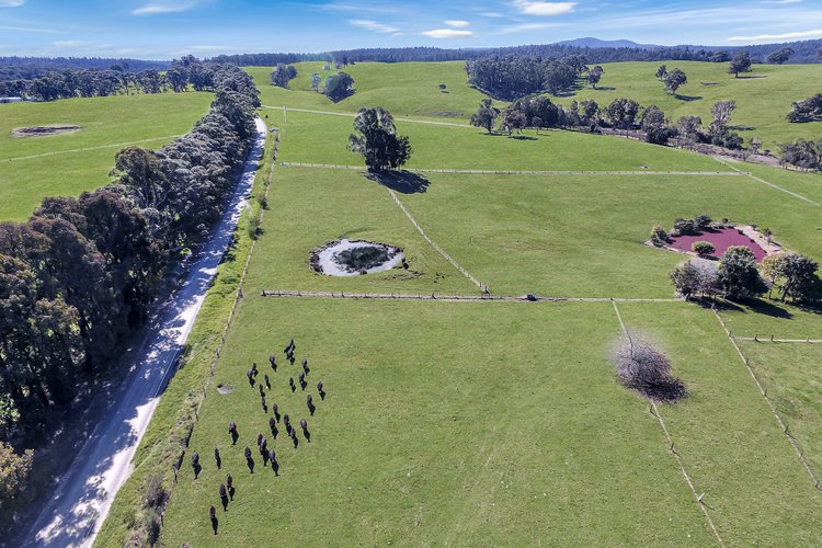 150 Yalmy Road, Jarrahmond