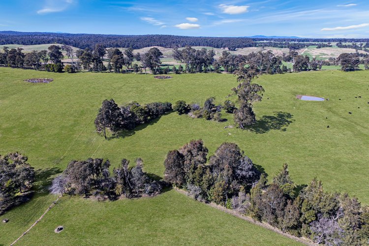 150 Yalmy Road, Jarrahmond