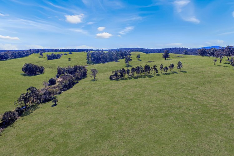 150 Yalmy Road, Jarrahmond