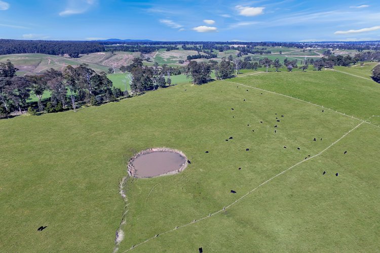 150 Yalmy Road, Jarrahmond