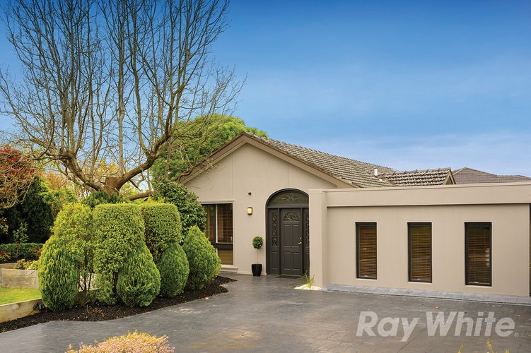 16 Blenheim Avenue Glen Waverley 3150