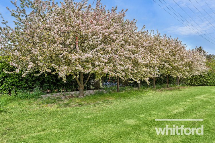 16 Cannes Court, Highton