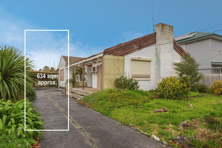 16 Dulcie Grove Bentleigh 3204