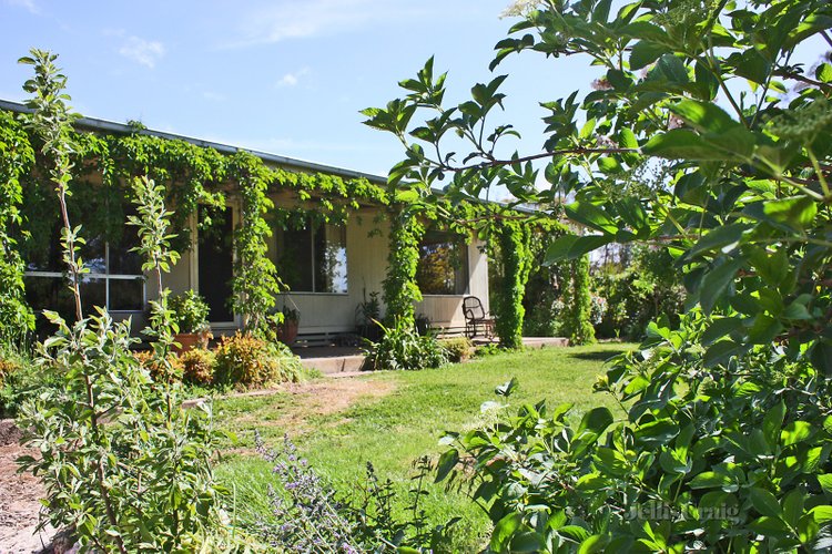 16 Monash Street Newstead 3462