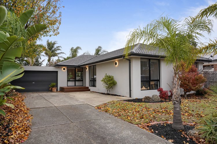 16 Renowden Street Cheltenham 3192