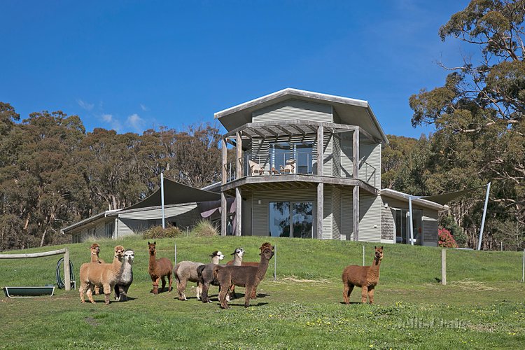 160 Sandy Farm Road Glenlyon 3461