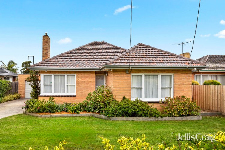 17 Adrienne Crescent Mount Waverley 3149