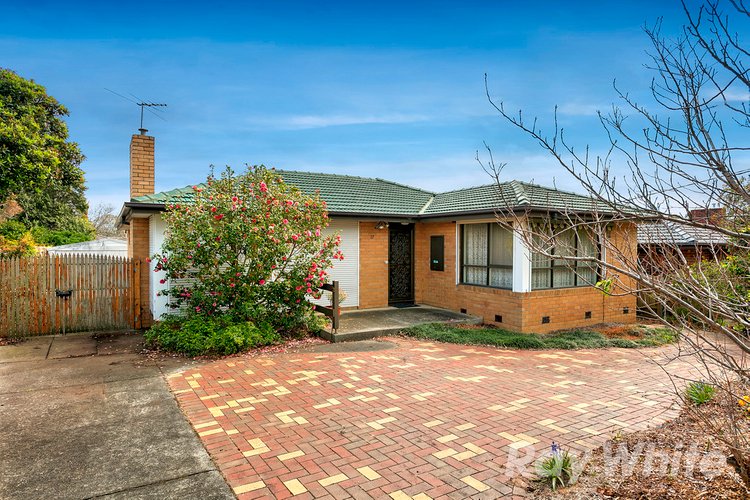 17 Wanda Street Mulgrave 3170