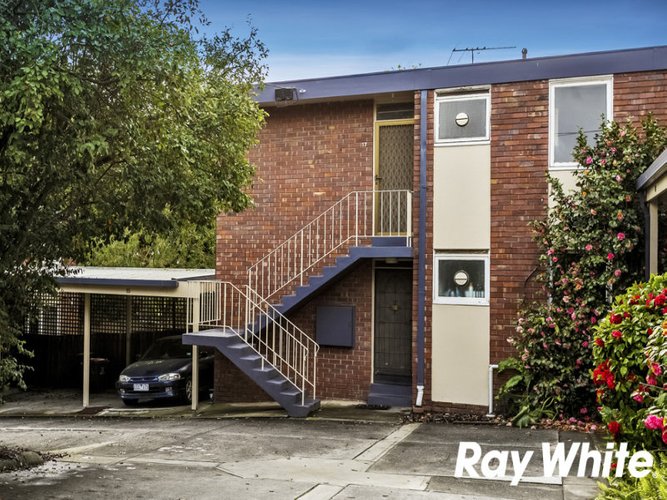 17 113 Burwood Highway Burwood East 3151