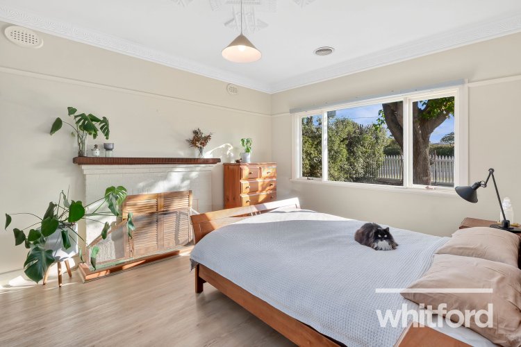 188 Minerva Road, Newtown