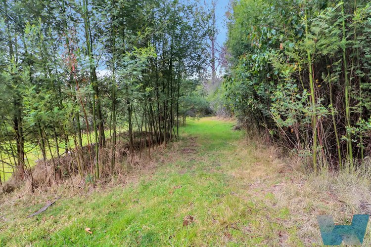 19 Ace Road, Club&nbsp;Terrace