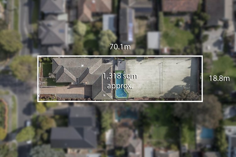 19 Madeline Street  Glen Iris 3146