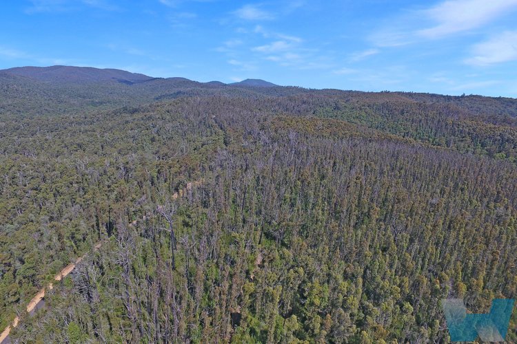 19 Poddys Creek Road, Club&nbsp;Terrace