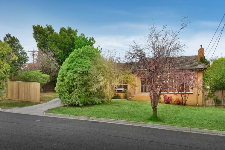 19 Tamar Street Ringwood North 3134
