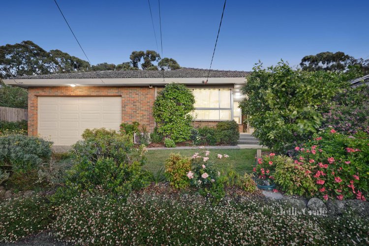 19 Weber Crescent Burwood East 3151