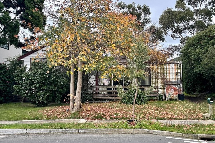 19 Wills Avenue Mount Waverley 3149