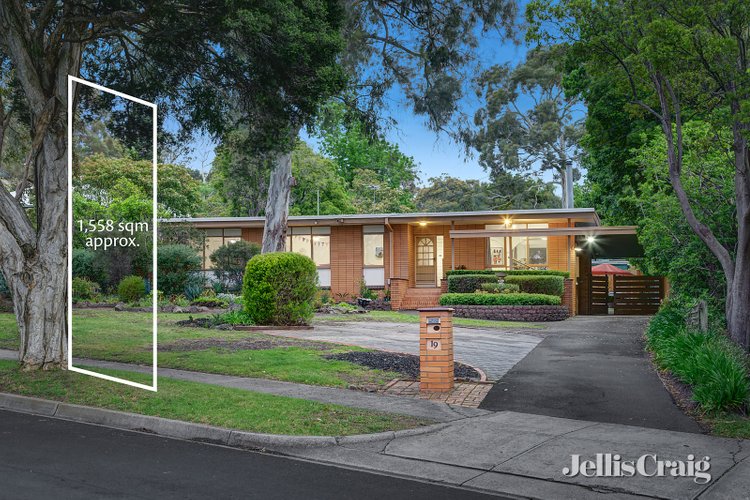 19 Woodland Avenue Croydon 3136