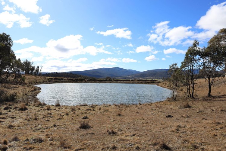 1917 Limestone Road, Benambra