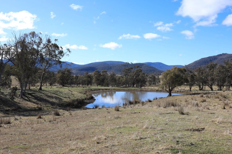 1917 Limestone Road, Benambra