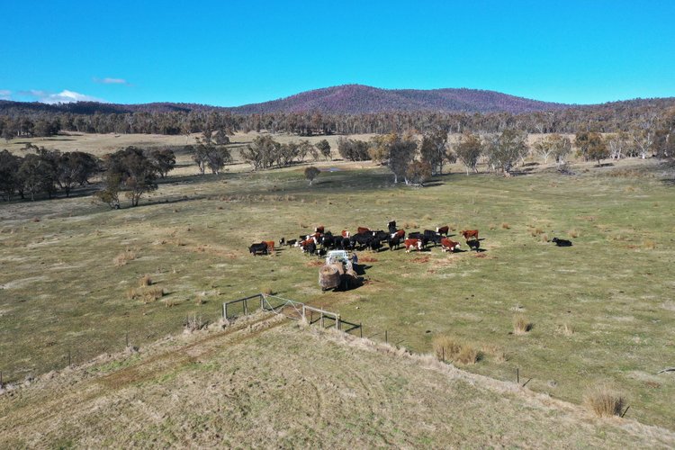 1917 Limestone Road, Benambra