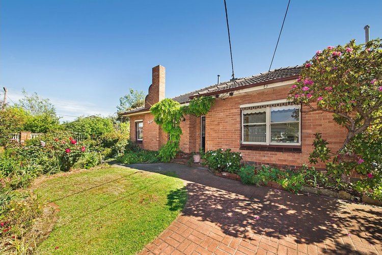 19A Murrumbeena  Crescent Murrumbeena 3163