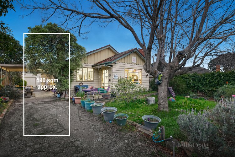 2 Blackshaw Street Mckinnon 3204