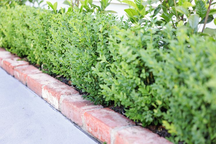 2 McLean Street, Bairnsdale