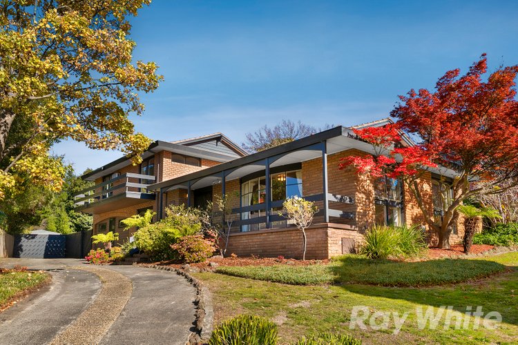 20 Ajax Drive Wheelers Hill 3150