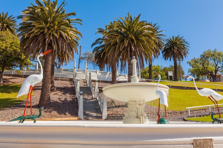 20 Alexandra Avenue, Geelong