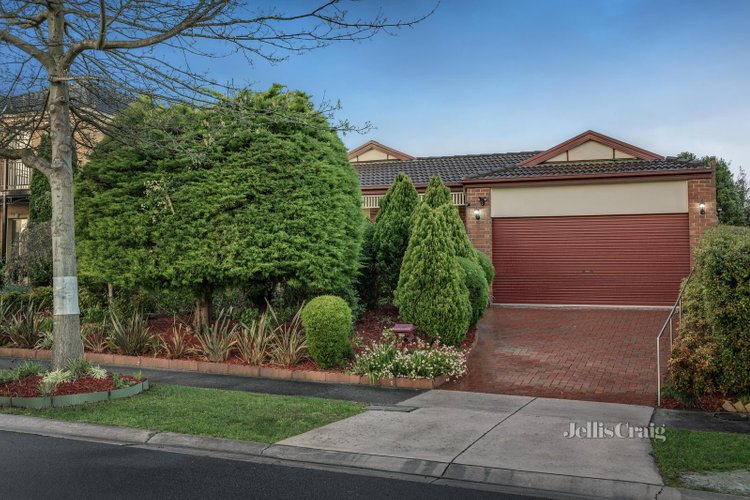 20 Avendon Boulevard Glen Waverley 3150