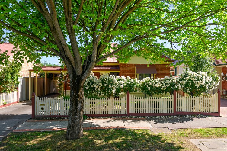 20 Goldentree Drive Chirnside Park 3116