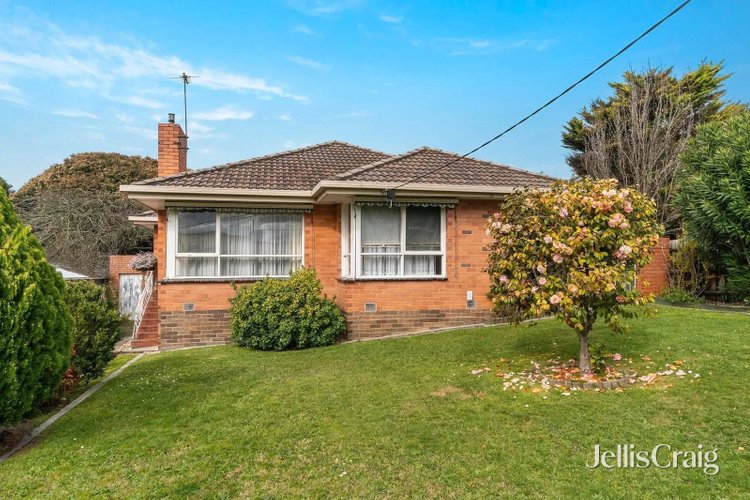20 Hill Street Ringwood East 3135