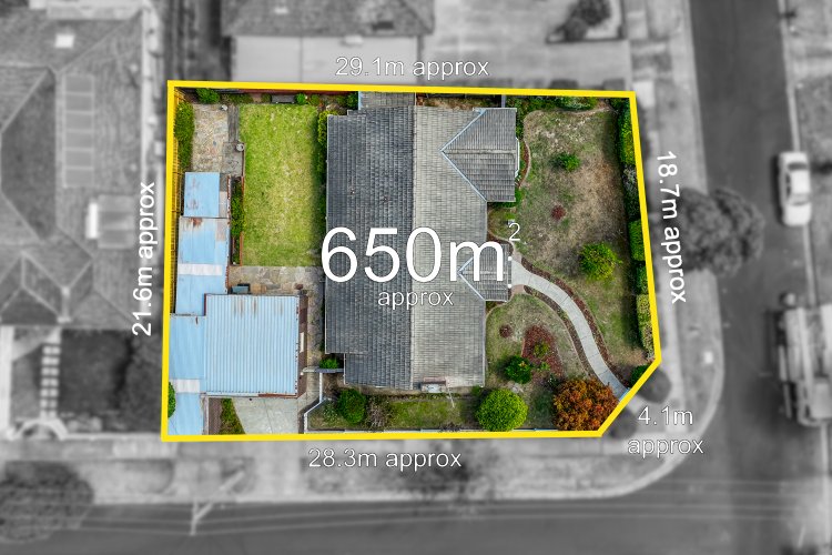 20 Lynden Grove Mount Waverley 3149