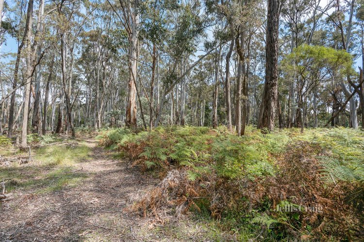 20 Woodduck Drive Wheatsheaf 3461