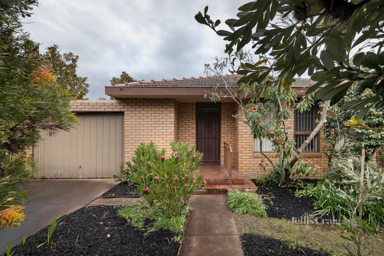 207 Kambrook Road Caulfield 3162