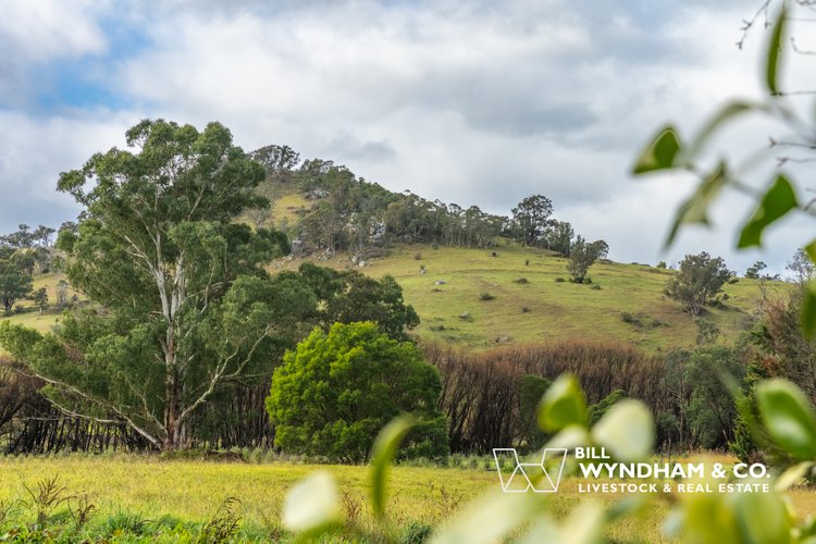208 Lind Avenue, Dargo