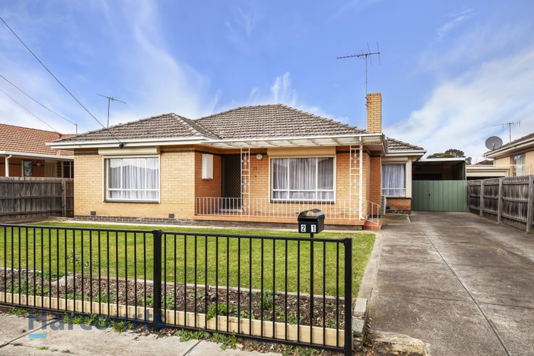 21 Chantilly Avenue Avondale Heights 3034