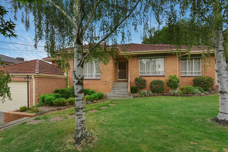 22 Farquharson Street Mount Waverley 3149