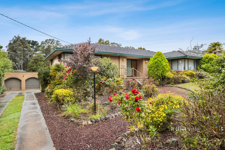 22 Wilkie Street Castlemaine 3450