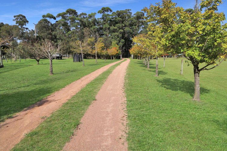 225 Simpsons Crk Road, Orbost