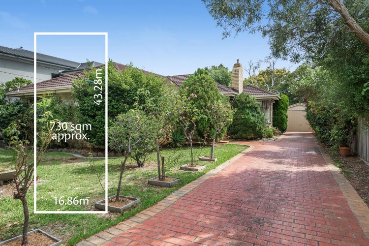 23 Pamela Street Mount Waverley 3149