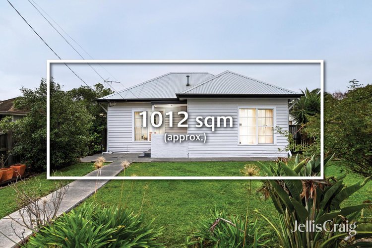 23 Pine Avenue North Shore 3214