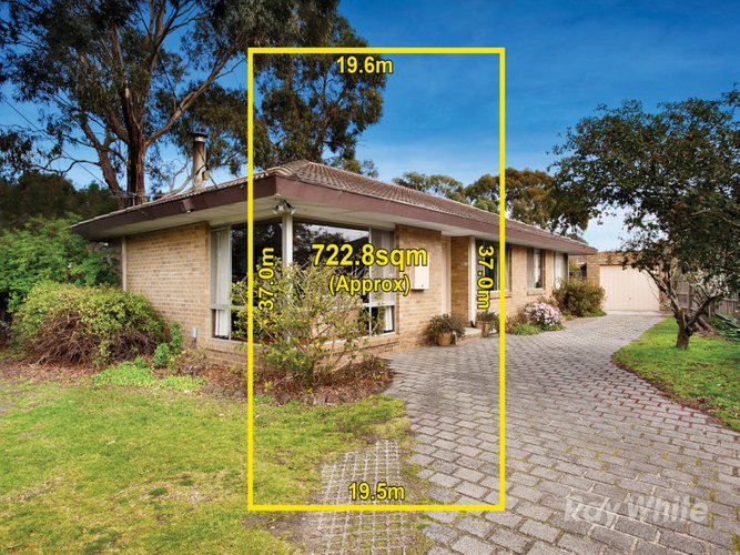 233 Lawrence Road Mount Waverley 3149