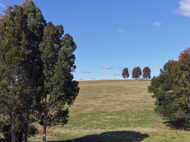 236B Clifton West Road, Wy&nbsp;Yung