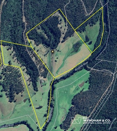 238 Coulsons Road, Orbost